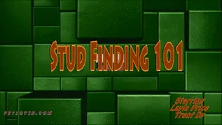 Stud Finding 101 - Mobile