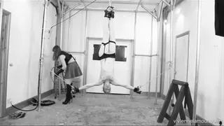 VIVIENNE L'AMOUR - SUB GIRL SUSPENDED AND WHIPPED