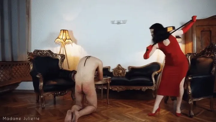 Testing whipping toys on slave - extreme punishment