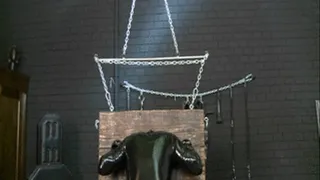 Lady Cynthia's unusable slaves - Part 1