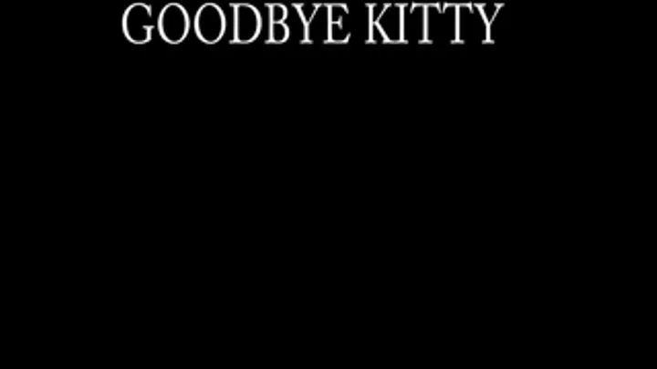 Goodbye Kitty (MP4 LD - Good For /Pads)