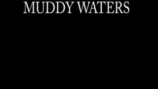 Muddy Waters wvm
