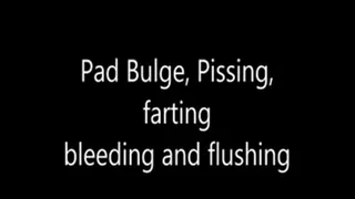 Pad Bulge, Period, Pissing and Flushing.