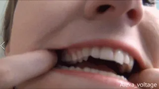 Explore Alexa's Mouth
