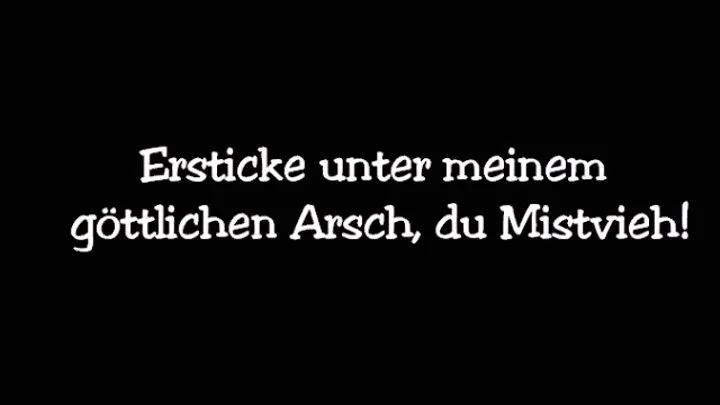 Ersticke unter meinem göttlichen Arsch, du Mistvieh!