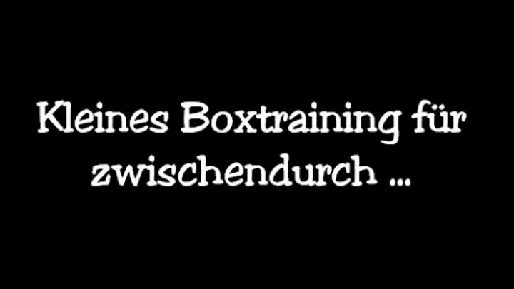 Kleines Boxtraining!