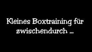 Kleines Boxtraining!