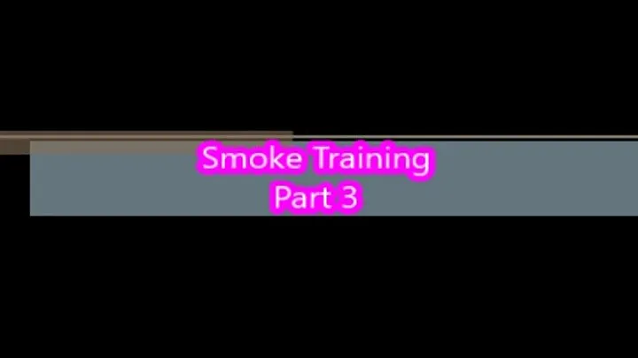 Smoke Training Part 3