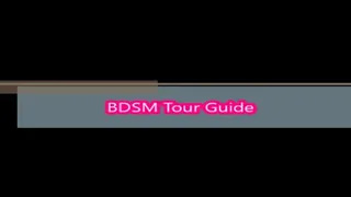 BDSM Tour Guide