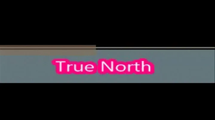 True North