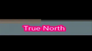 True North