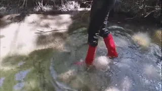 Red Wellington boots in the water