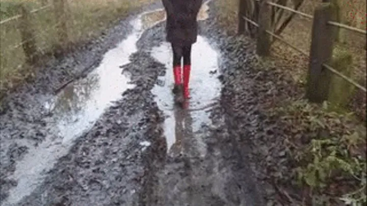 Red rubber boots in the mud