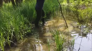 Walk through the swamps