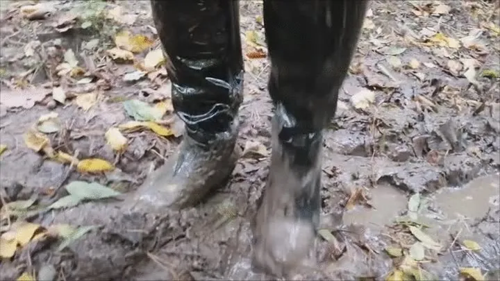 Boots and a forest road