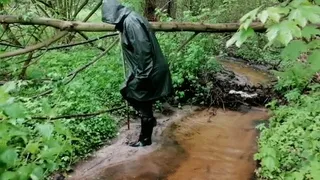 A great downpour and a forest river