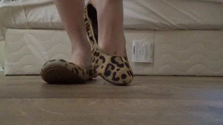 Shoeplay with Leopard Ballet Flats