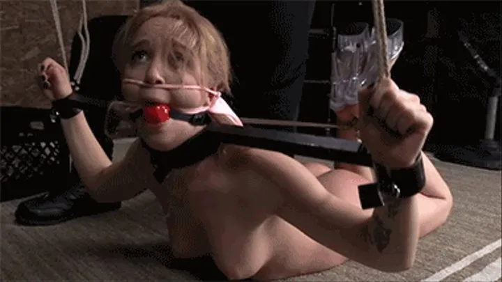 Perfect Bondage Slave,