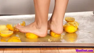 Barefoot Lemon Squish