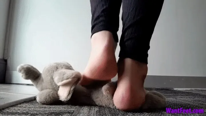 Plushie Crushed Under Big Feet