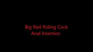 Big Red Riding Cock.