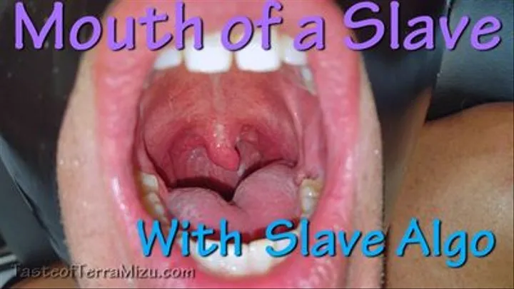 Mouth of a Slave - Algo