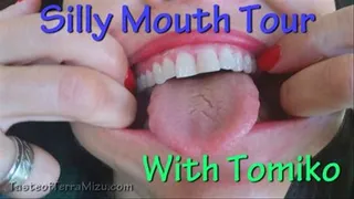 Silly Mouth Tour - Tomiko