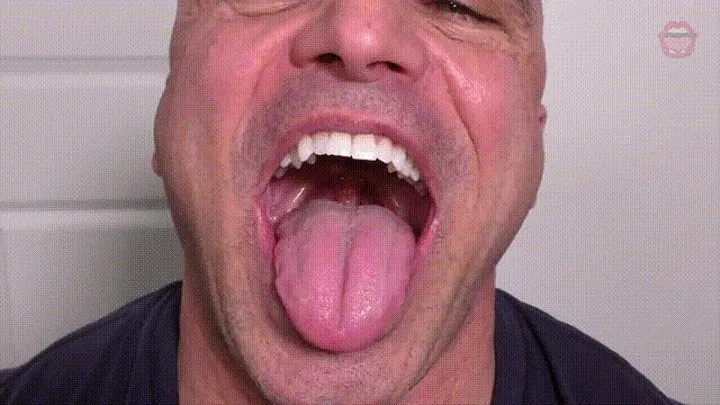 Check out my mouth - Tony Dinozzo