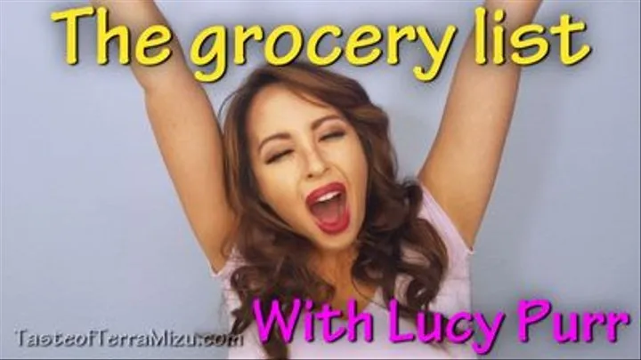 The grocery list - Lucy Purr