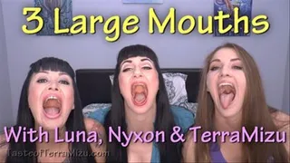 3 Large Mouths - Luna, Nyxon & Terra