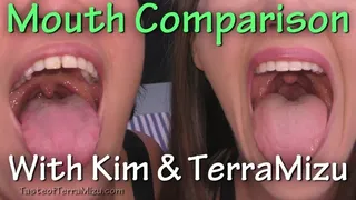 Mouth Comparison - Kim Chi & TerraMizu