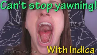 Can't stop yawning! - Indica Fetish