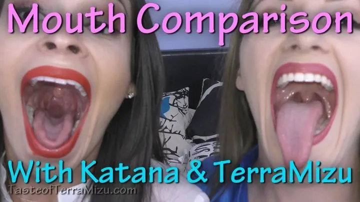 Mouth Comparison - Katana & TerraMizu