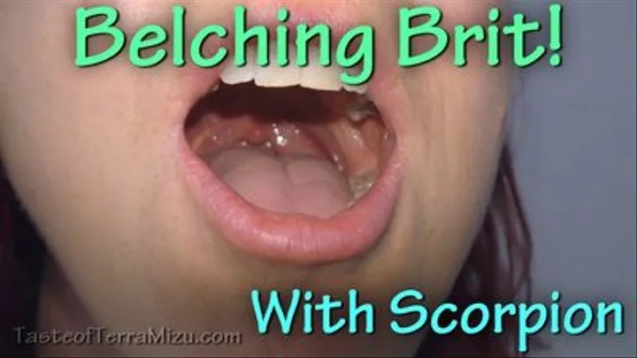 Belching Brit - Scorpion