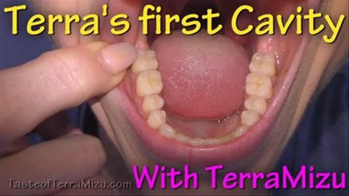 Terra's first cavity - TerraMizu