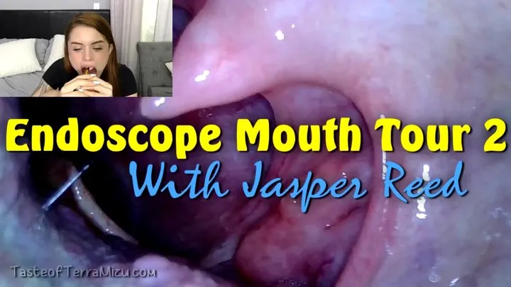 Endoscope Mouth Tour 2 - Jasper Reed