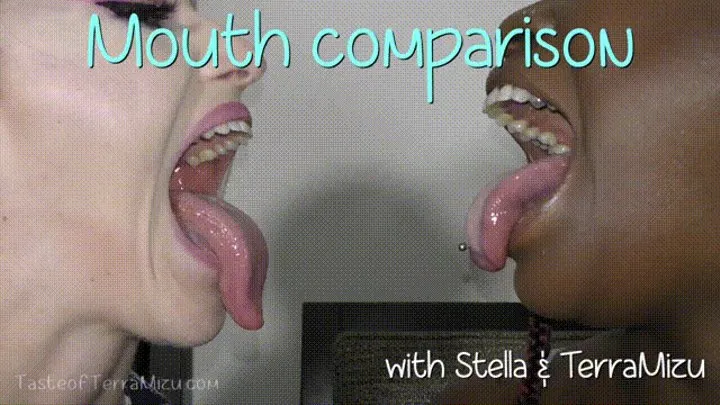 Mouth Comparison - Stella Danny & TerraMizu