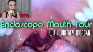 Endoscope Mouth Tour - Whitney Morgan