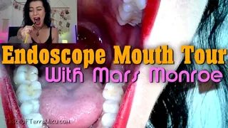 Endoscope Mouth Tour - Mars Monroe