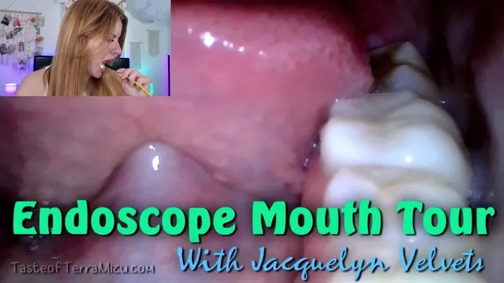 Endoscope Mouth Tour - Jacquelyn Velvets