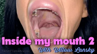 Inside My Mouth 2 - Willow Lansky