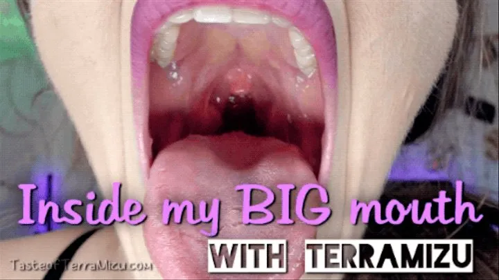 Inside My BIG Mouth - TerraMizu