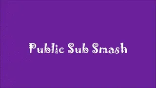 Public Sub Smash