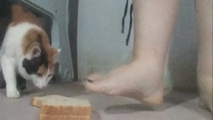 Feeding you bread squashed by my toes