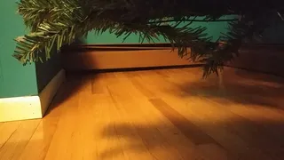 Voyuer barefeet from under the Christmas tree