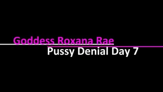 Pussy Denial Day 7