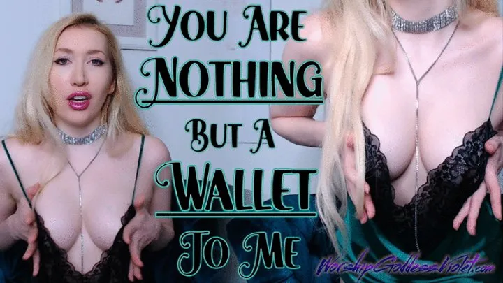 You Are Nothing But A Wallet To Me