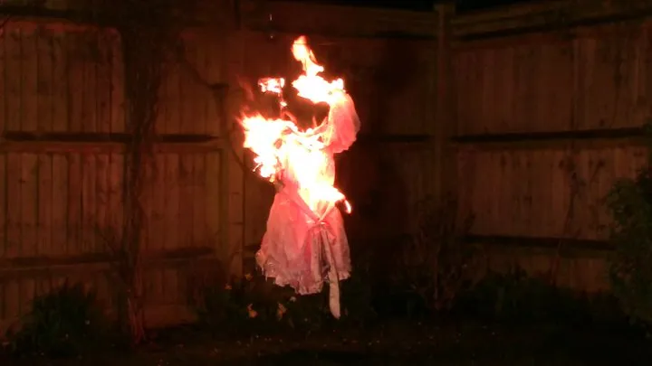 Pink Satin Dress Burns