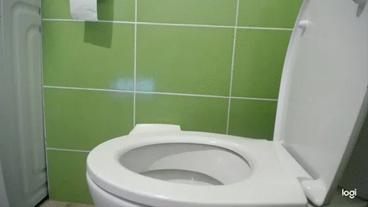 Toilet things with sound 2 minutes