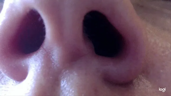 My noseholes in extreme close - ups